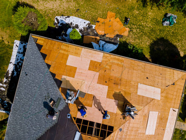 Best Commercial Roofing Services  in Cumberland Head, NY