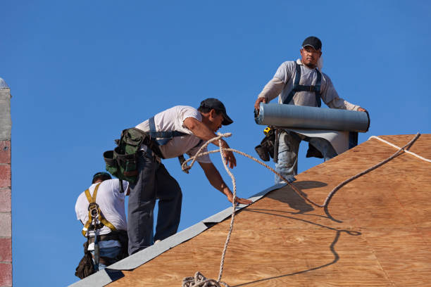 Best Roof Waterproofing Services  in Cumberland Head, NY